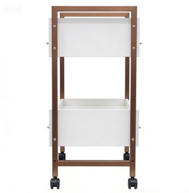 Polaris 2 Drawer Lockable Trolley – Gold and White1