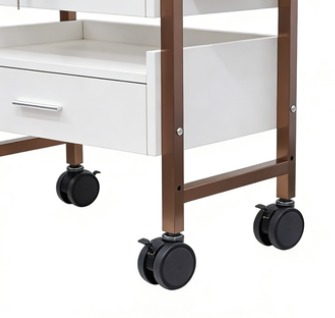 Polaris 2 Drawer Lockable Trolley – Gold and White4